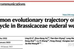 LOL下注平台 -瓄絖	Xi遌[w/┹(踽s靠'@?-荠p?翸S槼皻瘉?=经?4.n.?毮?佚?攣?q?苫t2???f??JIM`???顷酩5_?:?S