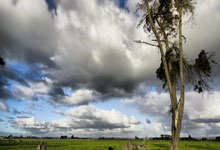 LOL联盟竞猜 -赛地聚焦——西甲窗口期热度飙升，瓦伦西亚刷新队史纪录，话题不断，资深球员宣示担当的简单介绍