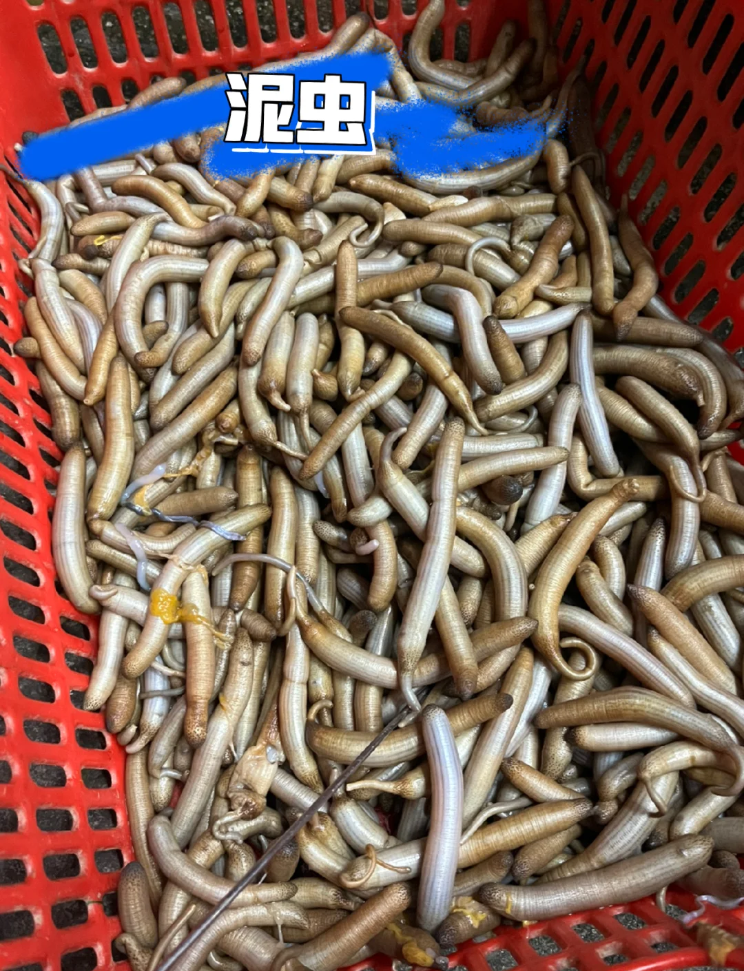 6?毵?蚶1:.A蕄?a?$的简单介绍